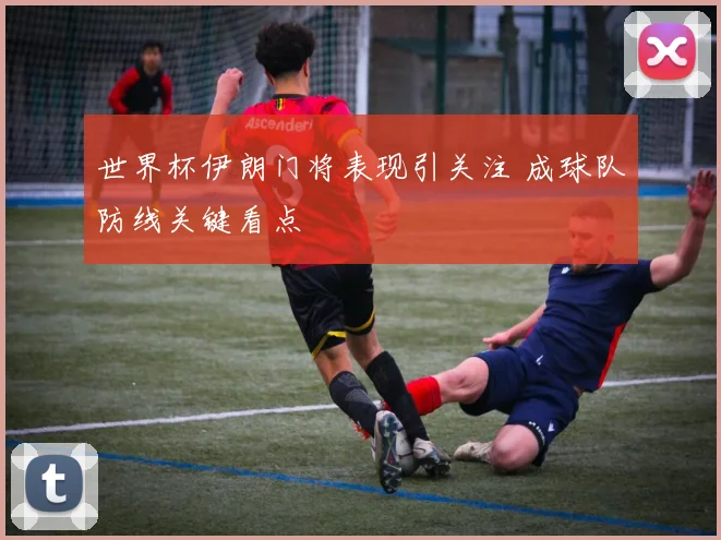 世界杯伊朗门将表现引关注 成球队防线关键看点