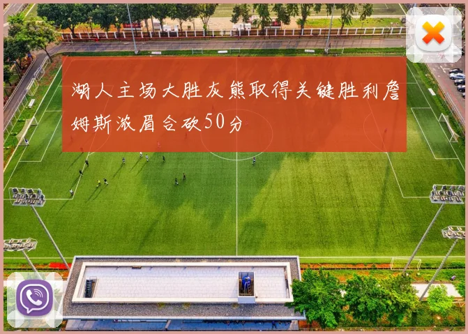 湖人主场大胜灰熊取得关键胜利詹姆斯浓眉合砍50分