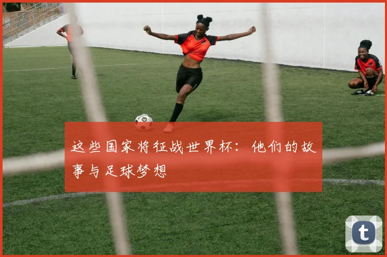 这些国家将征战世界杯：他们的故事与足球梦想