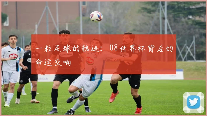 一粒足球的轨迹：08世界杯背后的命运交响