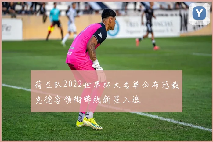 荷兰队2022世界杯大名单公布范戴克德容领衔锋线新星入选