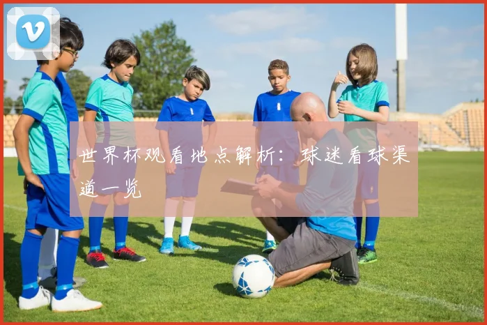 世界杯观看地点解析：球迷看球渠道一览