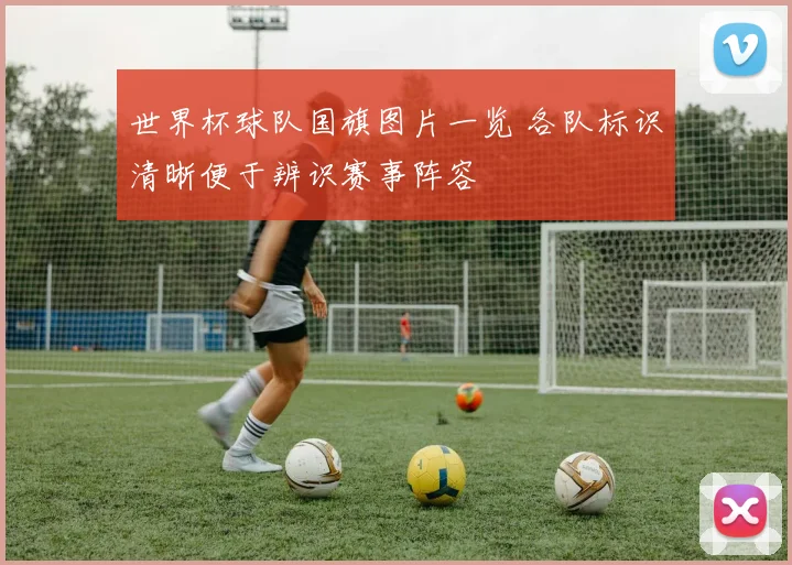 世界杯球队国旗图片一览 各队标识清晰便于辨识赛事阵容