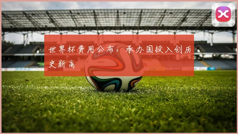 世界杯费用公布,承办国投入创历史新高