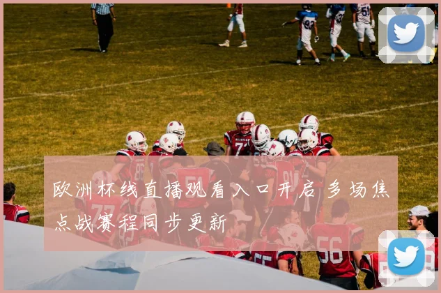 欧洲杯线直播观看入口开启 多场焦点战赛程同步更新