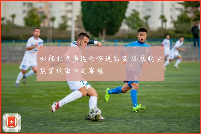 刘翔北京奥运会伤退离场 观众起立鼓掌致敬泪别赛场